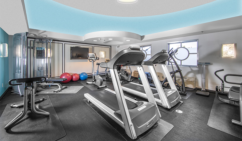 Modern gym rooms with treadmills, exercise bikes, weight machines, and exercise balls in a bright space.